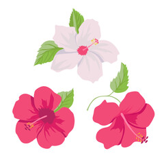 Vector set of bright pink hibiscuses - 619535277