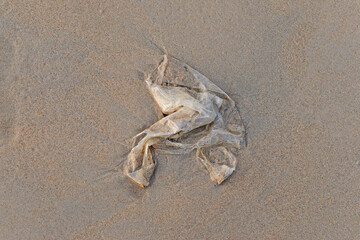 Plastic bag are left on the beach as waste polluting nature, Plastic is hard to degrade, destroy the ecosystem, World environment day concept. Garbage spill on beach