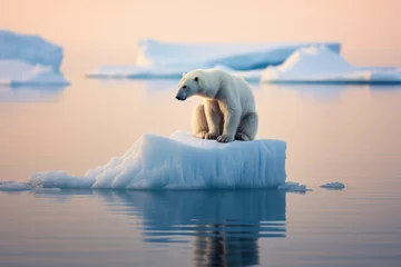 Keuken foto achterwand Canada Poignant image of a lonely polar bear on a tiny iceberg, melting arctic, clear, blue, vast ocean around