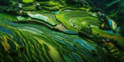 Tuinposter An aerial view of a vast and lush rice field © Sven