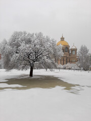 nature in winter, church