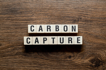 Carbon capture - word concept on building blocks, text
