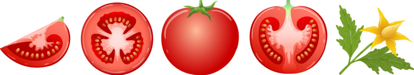 Cartoon red tomatos
