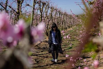 Woman walking through fields of flowering peach trees in spring.