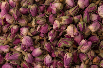 Dry tea roses isolated on white background.