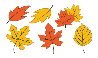 Naklejka premium Autumn leaves set, isolated on white background. Simple cartoon flat style. Isolated vector illustration. Design for stickers, logo, web and mobile app.