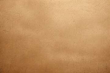 Fototapeta premium Close-up of Light Brown Kraft Paper Texture with Vignette Effect
