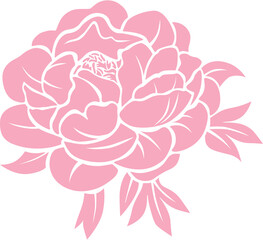 hand drawn vector illustration of pink peony