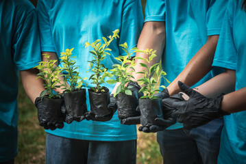 Group of people volunteering holding a sapling of a tree to be planted, which is a campaign to...
