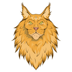 Maine Coon cat. Vector illustration of a Kitten ginger. Illustration for cat cattery, pet shop, pet hotel