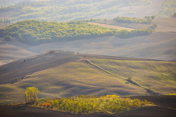 Rural landscape. Tuscany in the light of the setting sun.