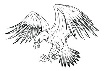 Eagle. Vector illustration of a sketch soaring bald eagle. National symbol of the usa