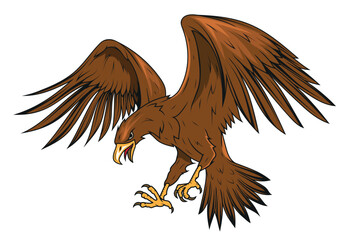 Eagle. Vector illustration of a soaring bald eagle. National symbol of the usa