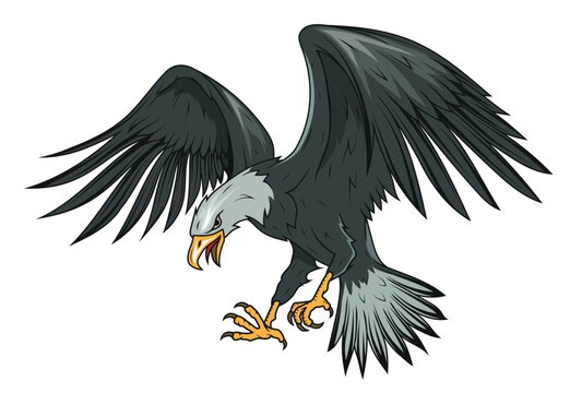 Eagle. Vector illustration of a soaring bald eagle. National symbol of the usa