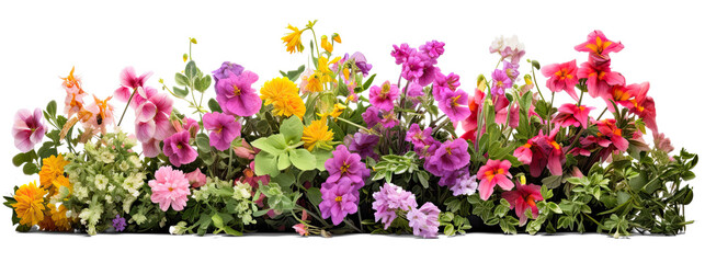 bush of flowers on transparent background, png - Powered by Adobe