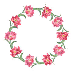 Pink tulips wreath isolated on white background. Watercolor illustration of bright spring flowers for create postcard design, invitation template, birthday, wedding, mother day cards. Space for text