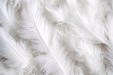 Fototapeta premium white feathers background, generative ai