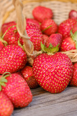 wicker basket and scattered ripe red strawberries on a wooden table