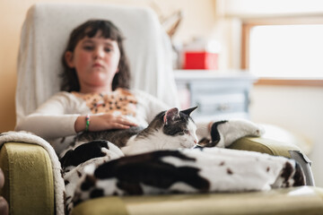 A striped cat rests lying on a blanket in a room, a girl's hand caresses the pet. Relationship...