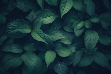 Detailed view of dark green leaves. Generative AI
