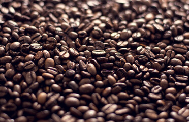 brown coffee seed texture close up