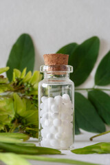 Alternative medicine with white homeopathic granules and natural plants in the background