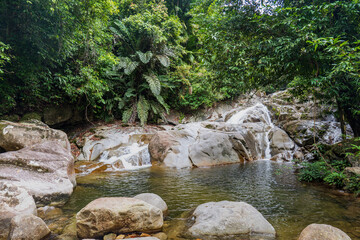 Naklejka na ściany i meble rainforest jungle landscape with waterfall at Gunung Gading National Park in Borneo, Malaysia