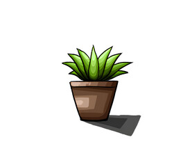 plant in flowerpot