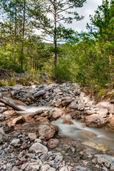 Mountain stream among rocks in coniferous pine forest, blurry water movement, vertical frame