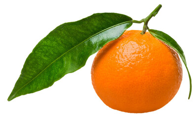 Orange with stem and green leaves