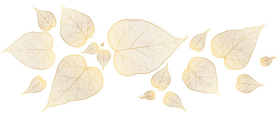 Beautiful background with leaves vein. Vector illustration. - 619569495