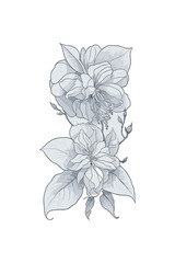 
The leaves and flowers vector isolated. Hand drawn floral bunch, Pencil drawing floral, Freehand sketching illustration. 