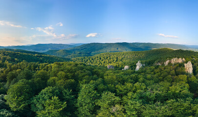 Aerial view of bright landscape with green forest trees and big rocky boulders between dense woods in summer. Beautiful scenery of wild woodland