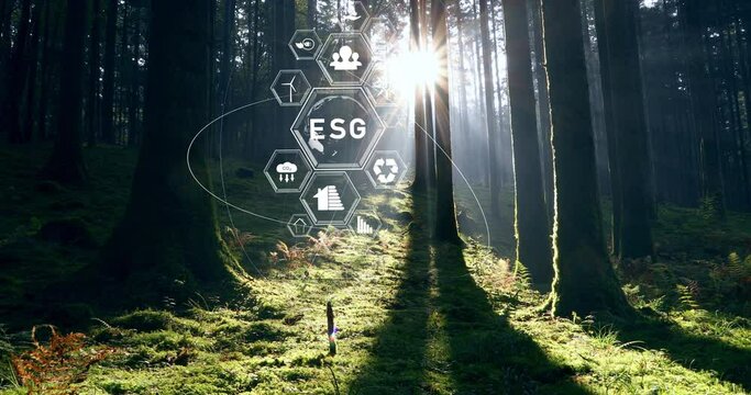 Beautiful forest sunlight with animated ESG icons. Concept ecology and environment business animation.