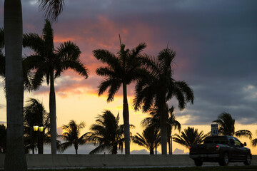 Obraz premium Car driving on american road under palm trees at Florida sunset