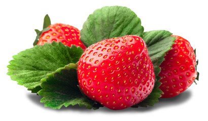 Three Strawberries with green leaves