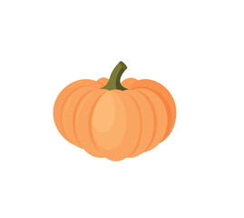 Ripe orange pumpkin isolated on white background. Cucurbita pepo. Fall harvest gourds. Healthy organic food concept. Vector vegetables illustration in flat style.