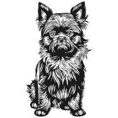 Affenpinscher dog silhouette pet character, clip art vector pets drawing black and white sketch drawing