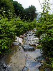 stream in the forest, river in the forest, The stream flowing from the rocks
