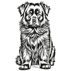 Newfoundland dog hand drawn logo drawing black and white line art pets illustration