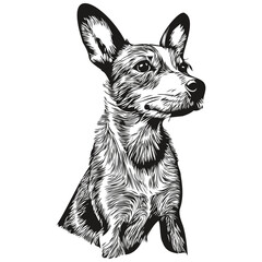 Rat Terrier dog pet sketch illustration, black and white engraving vector sketch drawing