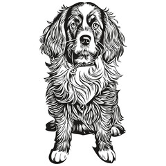 Spaniel Boykin dog outline pencil drawing artwork, black character on white background