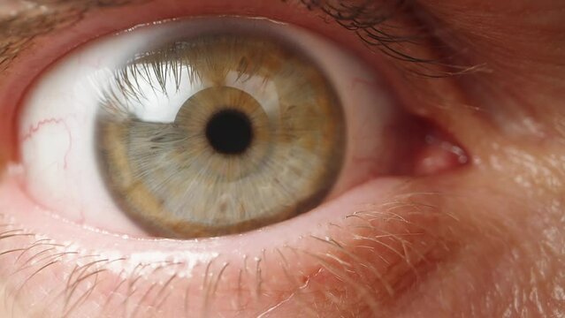 A wide-open male eye is looking straight ahead, with a green iris. Macro view.