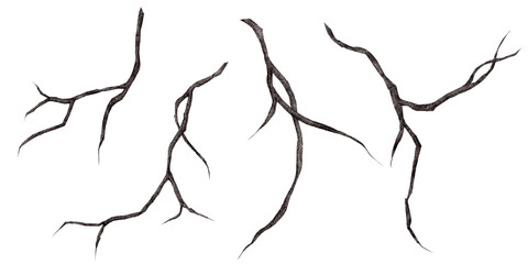 Set branches isolated on a transparent background, watercolor illustration