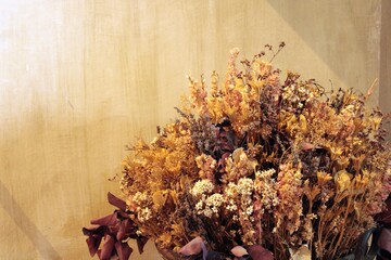 Dried flowers between ancient ealls