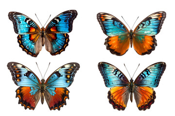 butterfly isolated on transparent background ,generative ai