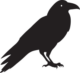 Fototapeta premium Crow vector silhouette illustration