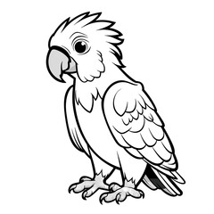 Bird,  colouring book for kids, PNG illustration	