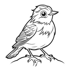 Obraz premium Bird, colouring book for kids, PNG illustration 