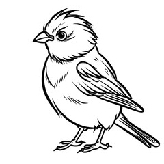 Obraz premium Bird, colouring book for kids, PNG illustration 